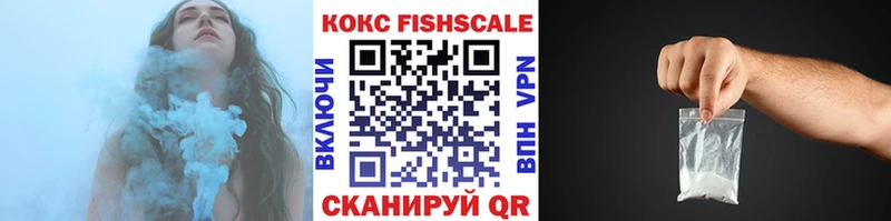 COCAIN Эквадор  как найти наркотики  Старица 