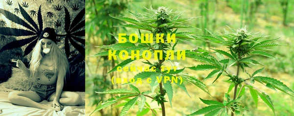 ПСИЛОЦИБИНОВЫЕ ГРИБЫ Заволжск