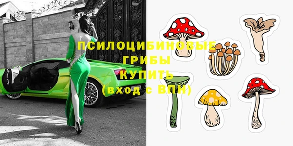 ПСИЛОЦИБИНОВЫЕ ГРИБЫ Заволжск