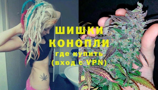 гашик Ростов